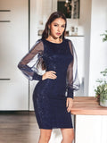 Sequin Dress Sheer Sleeve