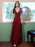 Burgundy Sequin Dress 