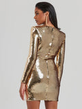 Sequin Dress 