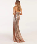   Gold  Sequin Dress