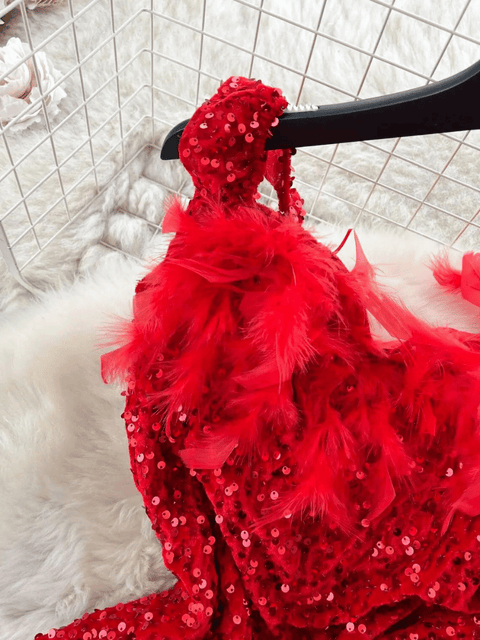 Red Feather Sequin Dress