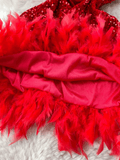 Red Feather Sequin Dress