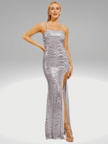 Sequin Silver Dress Long