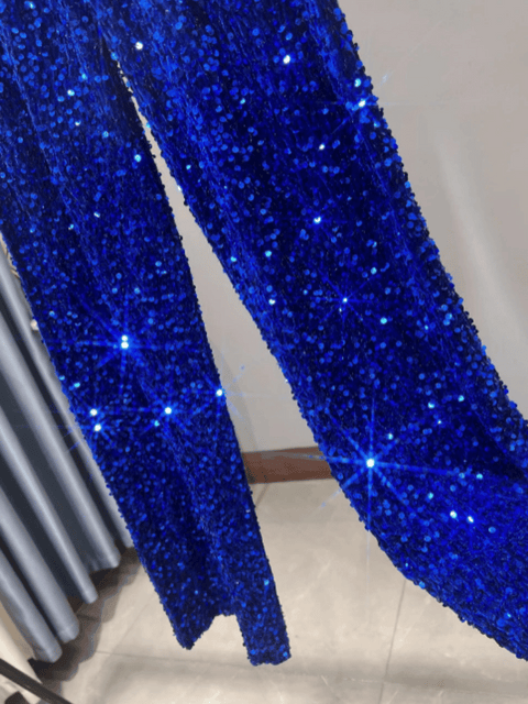 Blue Glitter Pants Velvet